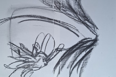 20260130_094001-Groot