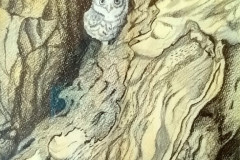 2019-03-18-07.52.12-Gemiddeld