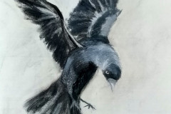 2020-03-11-11.25.51-Gemiddeld