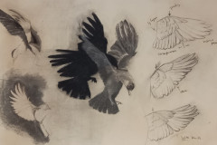 20230719_165406-Gemiddeld