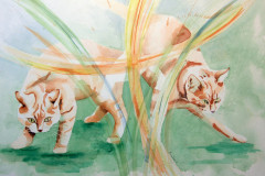 DSC_1001.NEF-Gemiddeld