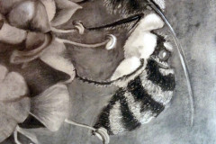 hommel-Gemiddeld
